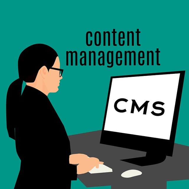 Best CMS (Content Management System)