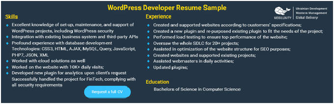 WordPress Developer Resume